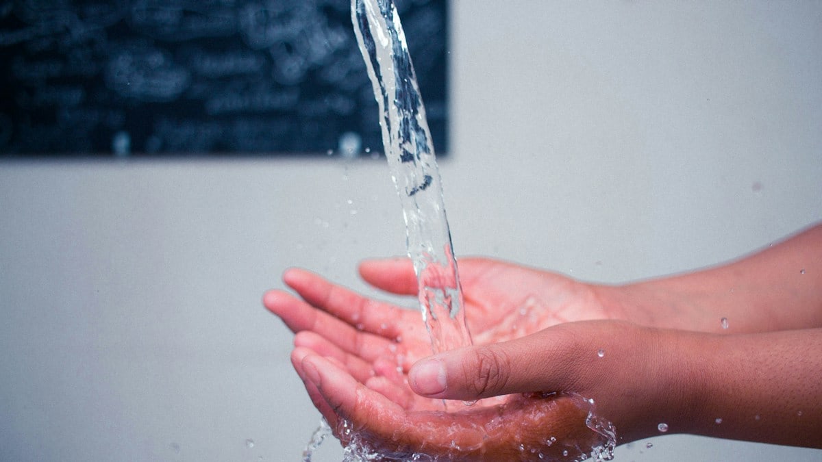 persons hand with water